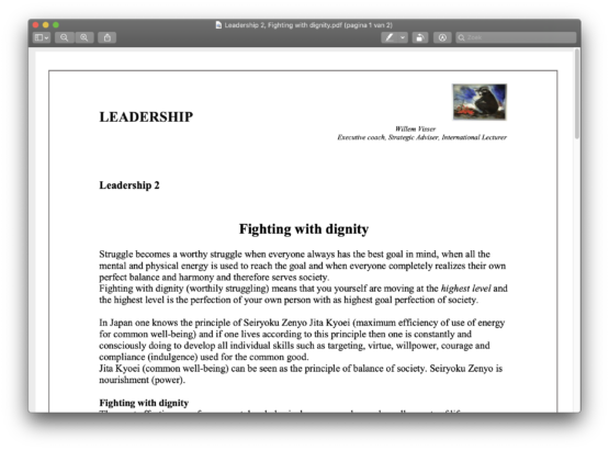 Leadership 2 - Fighting with dignity